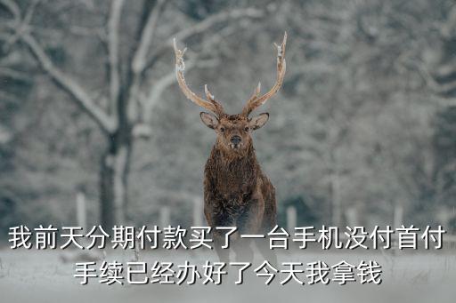 翼分期怎么不能零首付，網(wǎng)上可以申請(qǐng)0首付買手機(jī)嗎