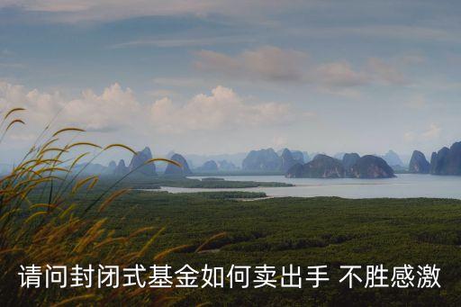 請(qǐng)問(wèn)封閉式基金如何賣(mài)出手 不勝感激