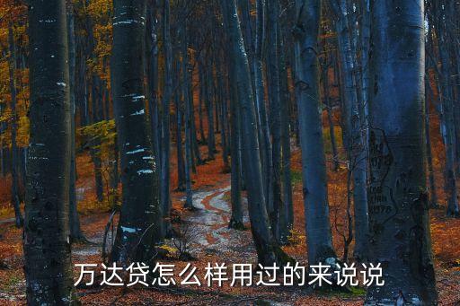 萬達(dá)貸怎么樣用過的來說說