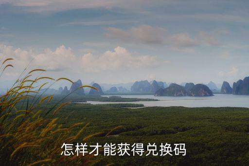 怎么得到麻袋理財兌換碼，怎樣才能獲得兌換碼