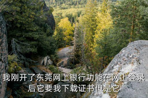 東莞銀行ukey怎么安裝，我剛開了東莞網(wǎng)上銀行功能在網(wǎng)上登錄后它要我下載證書但是它