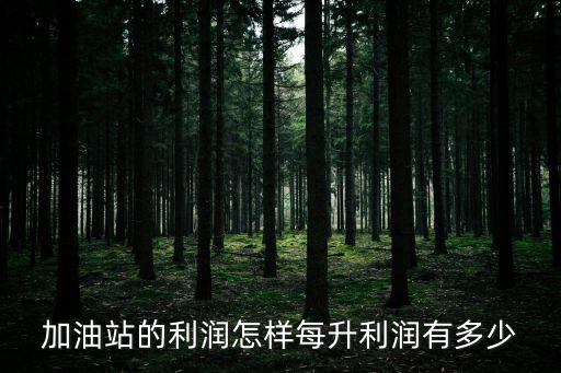 加油站的利潤怎樣每升利潤有多少