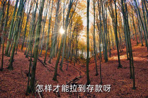 理財經(jīng)理怎么拉存款，如何能拉到存款