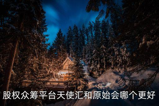 股權(quán)眾籌平臺天使匯和原始會哪個更好