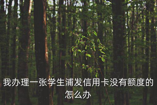我辦理一張學(xué)生浦發(fā)信用卡沒有額度的怎么辦