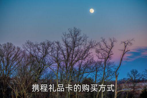 攜程禮品卡的購買方式