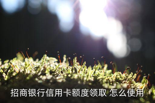 招商銀行信用卡額度領(lǐng)取 怎么使用
