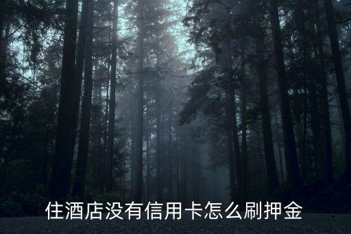住酒店沒有信用卡怎么刷押金