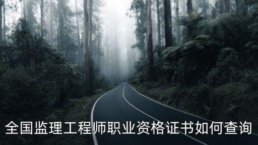 全國監(jiān)理工程師職業(yè)資格證書如何查詢
