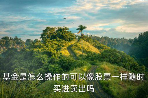 基金是怎么操作的可以像股票一樣隨時買進賣出嗎