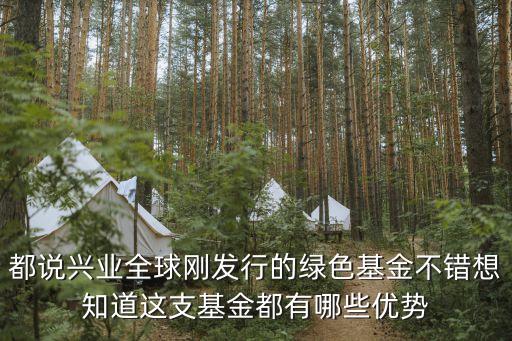 都說興業(yè)全球剛發(fā)行的綠色基金不錯想知道這支基金都有哪些優(yōu)勢