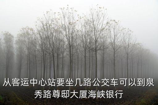從客運中心站要坐幾路公交車可以到泉秀路尊邸大廈海峽銀行