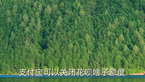 支付寶可以關閉花唄啥子額度