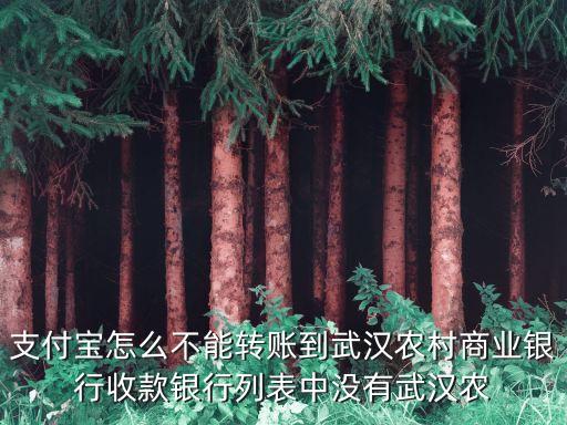 支付寶怎么不能轉(zhuǎn)賬到武漢農(nóng)村商業(yè)銀行收款銀行列表中沒有武漢農(nóng)