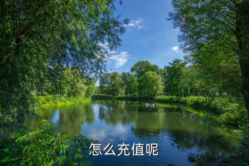 怎么充值呢