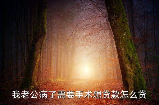 我老公病了需要手術想貸款怎么貸