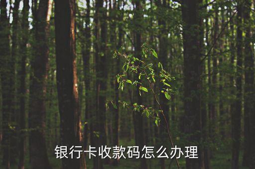 銀行卡收款碼怎么辦理