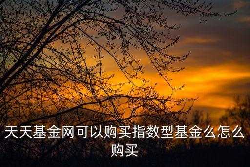 怎么在天天基金網(wǎng)買基金，請(qǐng)教怎樣在天天基金網(wǎng)上買基金