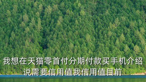 我想在天貓零首付分期付款買手機(jī)介紹說需要信用值我信用值目前