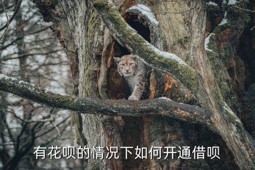 有花唄的情況下如何開通借唄