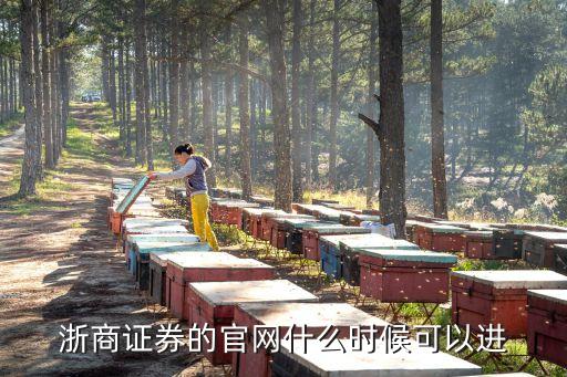 浙商證券的官網(wǎng)什么時(shí)候可以進(jìn)