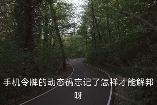 手機(jī)令牌的動(dòng)態(tài)碼忘記了怎樣才能解邦呀