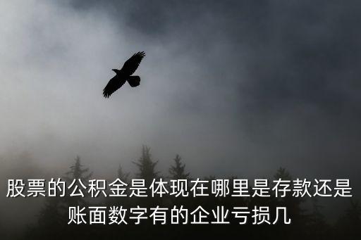 怎么看股票的公積金，如何查詢股票歷史公積金