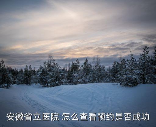 安徽省立醫(yī)院 怎么查看預約是否成功