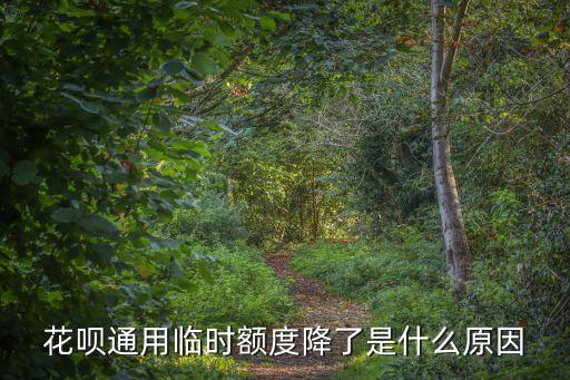 花唄通用臨時(shí)額度降了是什么原因