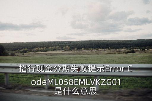 招行現(xiàn)金分期失敗提示Error CodeML058EMLVKZG01是什么意思