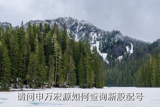 請問申萬宏源如何查詢新股配號