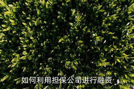 如何利用擔(dān)保公司進(jìn)行融資