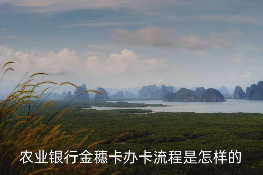 農(nóng)業(yè)銀行金穗卡辦卡流程是怎樣的