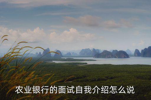 農(nóng)業(yè)銀行的面試自我介紹怎么說