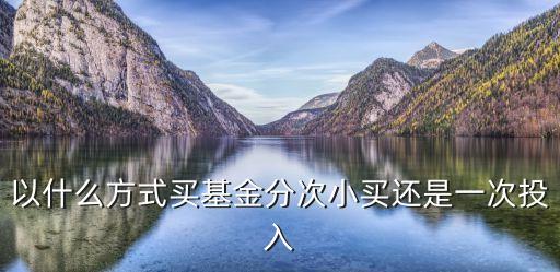 以什么方式買基金分次小買還是一次投入