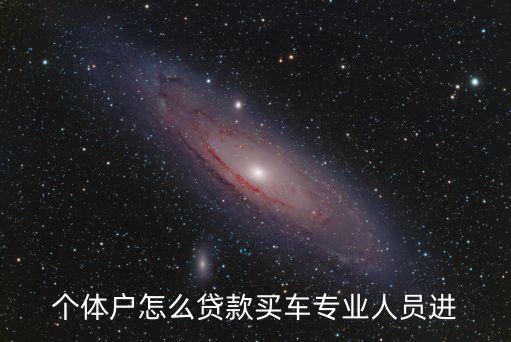 個體戶怎么貸款買車專業(yè)人員進(jìn)