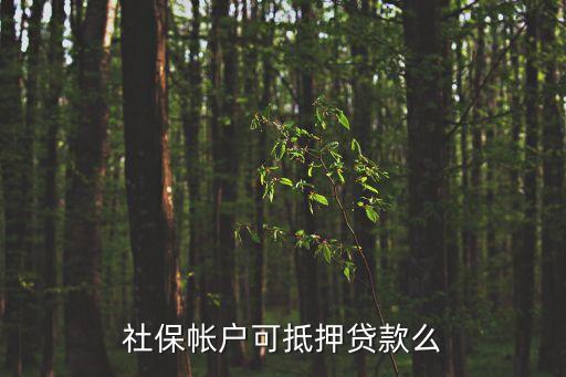 貸款怎么貸用社會保險(xiǎn)低押可以嗎，社保帳戶可抵押貸款么