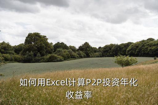 如何用Excel計(jì)算P2P投資年化收益率