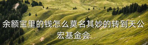 余額寶自動轉(zhuǎn)入天弘基金怎么回事，余額寶里的錢怎么莫名其妙的轉(zhuǎn)到天公宏基金會