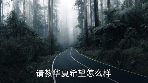 請(qǐng)教華夏希望怎么樣