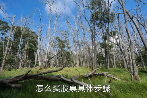 怎么買(mǎi)股票具體步驟