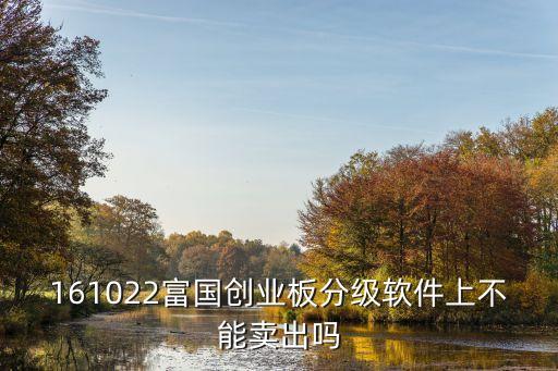 161022富國創(chuàng)業(yè)板分級(jí)軟件上不能賣出嗎
