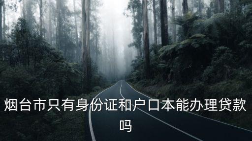 煙臺市只有身份證和戶口本能辦理貸款嗎
