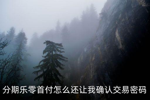分期樂(lè)零首付怎么還讓我確認(rèn)交易密碼
