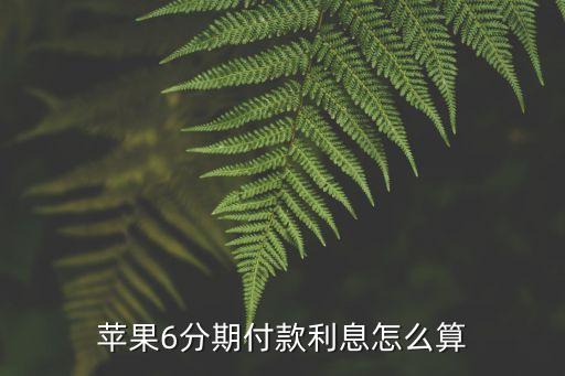蘋果6分期付款利息怎么算