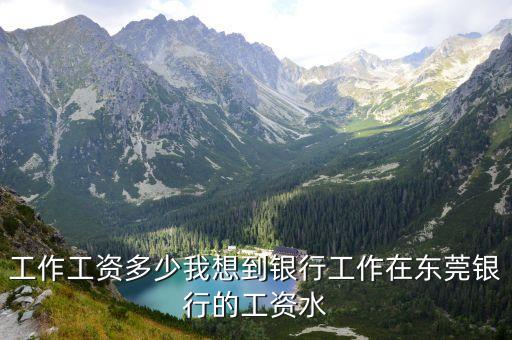 工作工資多少我想到銀行工作在東莞銀行的工資水