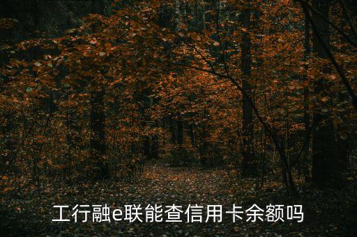 工銀融e聯(lián)怎么查余額，工行融e聯(lián)能查信用卡余額嗎