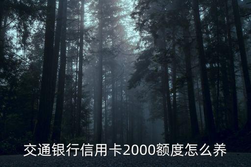 交通銀行信用卡2000額度怎么養(yǎng)