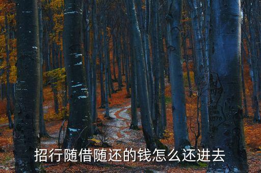 招行隨借隨還的錢怎么還進去
