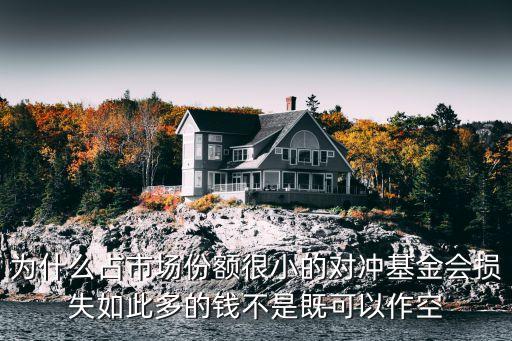 對沖基金怎么虧損，為什么占市場份額很小的對沖基金會損失如此多的錢不是既可以作空
